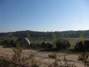 Herbstwanderung durchs Leithagebirge_14_Okt_2012_036.jpg