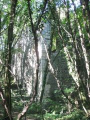 Herbstwanderung durchs Leithagebirge_14_Okt_2012_065.jpg