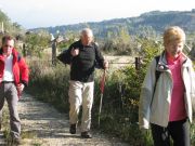 Herbstwanderung durchs Leithagebirge_14_Okt_2012_042.jpg