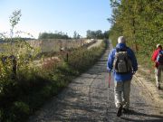 Herbstwanderung durchs Leithagebirge_14_Okt_2012_032.jpg