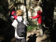 Herbstwanderung durchs Leithagebirge_14_Okt_2012_120.jpg