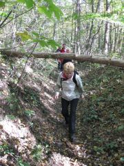 Herbstwanderung durchs Leithagebirge_14_Okt_2012_047.jpg