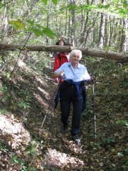 Herbstwanderung durchs Leithagebirge_14_Okt_2012_048.jpg