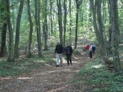 Herbstwanderung durchs Leithagebirge_14_Okt_2012_114.jpg