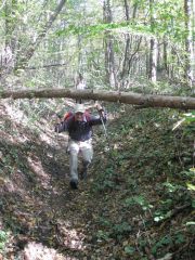 Herbstwanderung durchs Leithagebirge_14_Okt_2012_046.jpg