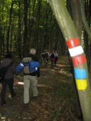Herbstwanderung durchs Leithagebirge_14_Okt_2012_070.jpg