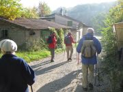 Herbstwanderung durchs Leithagebirge_14_Okt_2012_017.jpg