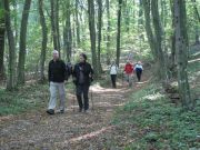 Herbstwanderung durchs Leithagebirge_14_Okt_2012_115.jpg