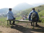 Wanderung_Wachau_049.JPG