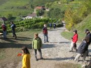 Wanderung_Wachau_046.JPG