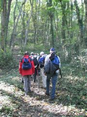 Herbstwanderung durchs Leithagebirge_14_Okt_2012_056.jpg
