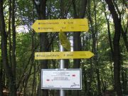 Herbstwanderung durchs Leithagebirge_14_Okt_2012_069.jpg