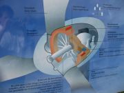 Windpark Bruck-Leitha15.jpg