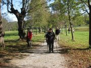 Herbstwanderung durchs Leithagebirge_14_Okt_2012_134.jpg
