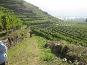 Wanderung_Wachau_059.JPG