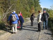 Herbstwanderung durchs Leithagebirge_14_Okt_2012_033.jpg