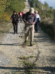 Herbstwanderung durchs Leithagebirge_14_Okt_2012_040.jpg