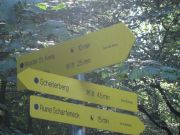 Herbstwanderung durchs Leithagebirge_14_Okt_2012_054.jpg