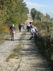 Herbstwanderung durchs Leithagebirge_14_Okt_2012_039.jpg