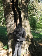 Herbstwanderung durchs Leithagebirge_14_Okt_2012_135.jpg