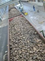 103-0318_IMG_Bildgroesse aendern.JPG