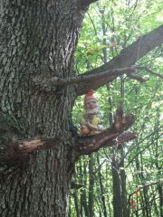 Herbstwanderung durchs Leithagebirge_14_Okt_2012_078.jpg