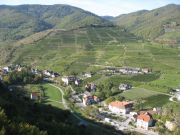 Wanderung_Wachau_090.JPG