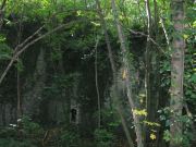 Herbstwanderung durchs Leithagebirge_14_Okt_2012_058.jpg