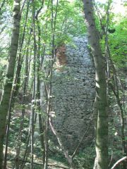 Herbstwanderung durchs Leithagebirge_14_Okt_2012_064.jpg